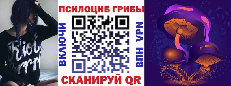 Галлюциногенные грибы Psilocybe  наркотики  маркетплейс телеграм  Новомичуринск 